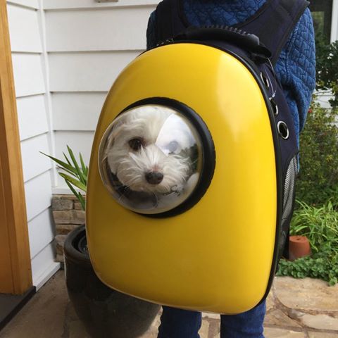 рюкзак Space Pets
