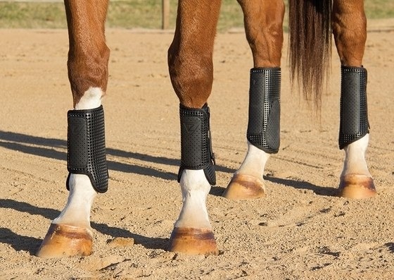 Фото ногавок